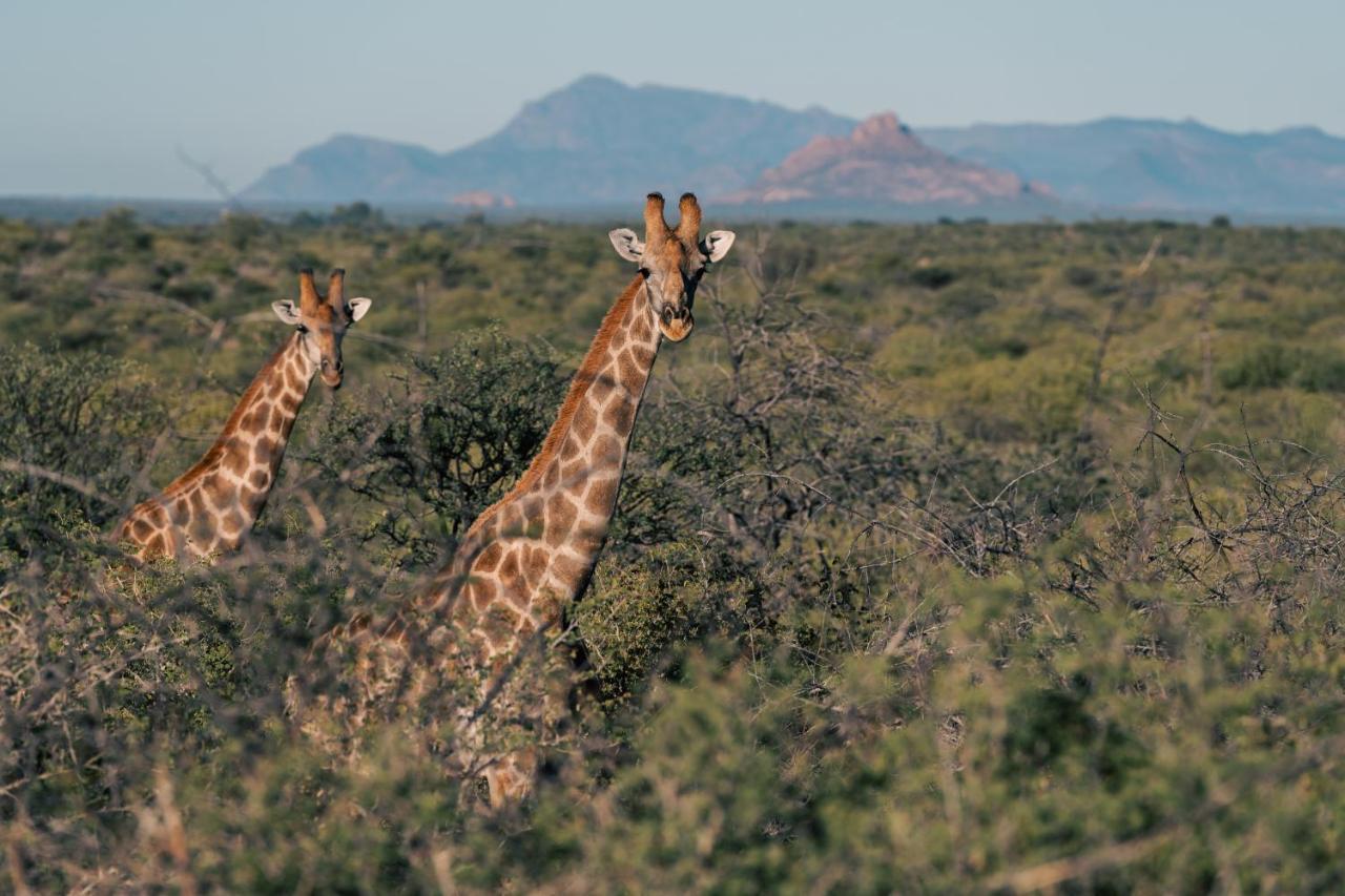 Omaruru Game Lodge ภายนอก รูปภาพ