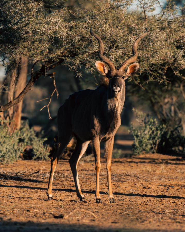 Omaruru Game Lodge ภายนอก รูปภาพ