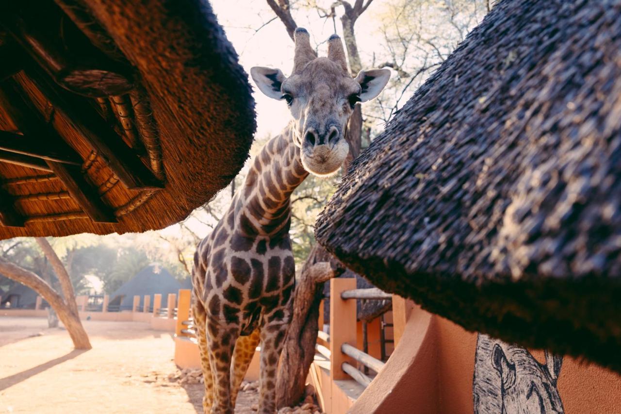 Omaruru Game Lodge ภายนอก รูปภาพ