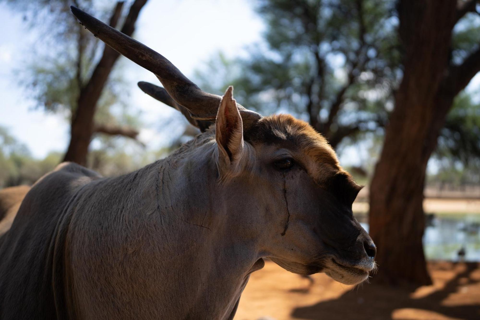 Omaruru Game Lodge ภายนอก รูปภาพ