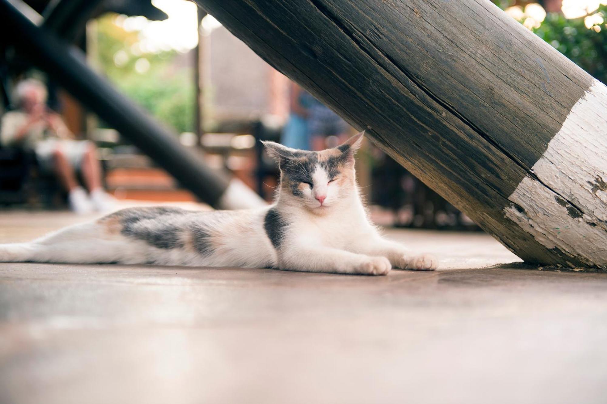 Omaruru Game Lodge ภายนอก รูปภาพ